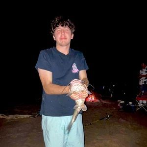 Meet your Posher, Jaden